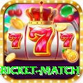 bangladesh cricket match Plus v5.6.2