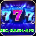 bbl big bash apk Plus Pro v5.0.6