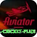bbl cricket VIP PK v4.1.6