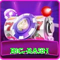big bash Deluxe v5.6.2