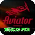 Bingo PKR Apps (Tools & Injectors) Master v4.2.8