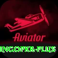 bingopkr Gold Pro v4.4.0