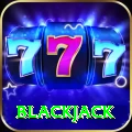 blackjack Max Pro v2.4.5