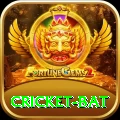 cricket bat Apps (Tools & Injectors) Premium v3.9.0