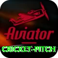 cricket pitch Premium Edition v5.4.8