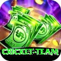 cricket team Premium Edition v2.1.3
