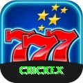 crickex Master v3.8.7