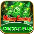 god of cricket APK Deluxe v5.9.6