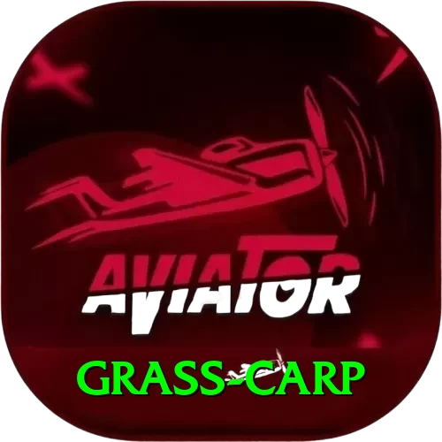 grass carp Gold Edition v2.0.2 - 2