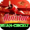 india pakistan cricket Premium Edition v5.5.6