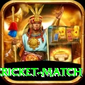 india pakistan cricket match Max v1.9.9