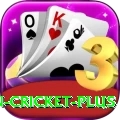 india pakistan cricket Casino Extreme v3.8.9