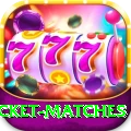 india upcoming cricket matches Pro v5.6.0
