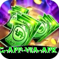 ios download betting app (via apk) VIP Pro v5.5.0