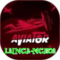 lungi ngidi Turbo Pro v4.4.3
