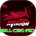 mobile cric Mega - Win Real PKR