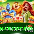 most centuries in cricket Game Plus v4.6.6