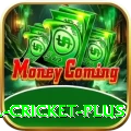 most runs in international cricket APK Legend v2.3.2