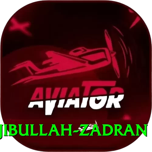 najibullah zadran Plus Edition v3.0.1 - 2