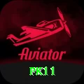 pk11 Plus v2.4.5