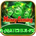 rain affected matches pk Master v2.2.4