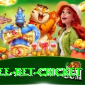 risk free bet cricket Games (Casino & Earning) Turbo v1.8.1