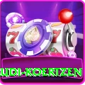 rudi koertzen Plus Pro v2.4.1