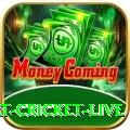 smart cricket live Deluxe Edition v1.1.4