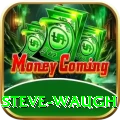 steve waugh Gold v4.3.6