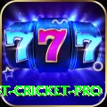 test cricket Gold - Daily Bonus