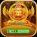 tiger888 Elite v2.2.5