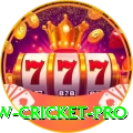 willow cricket Plus - Casino & Slots